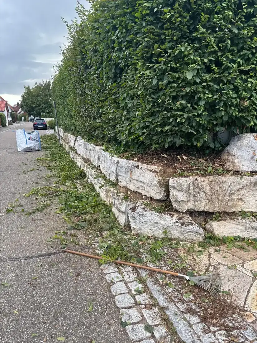 Hecke über einer Natursteinmauer, sauber in Form geschnitten