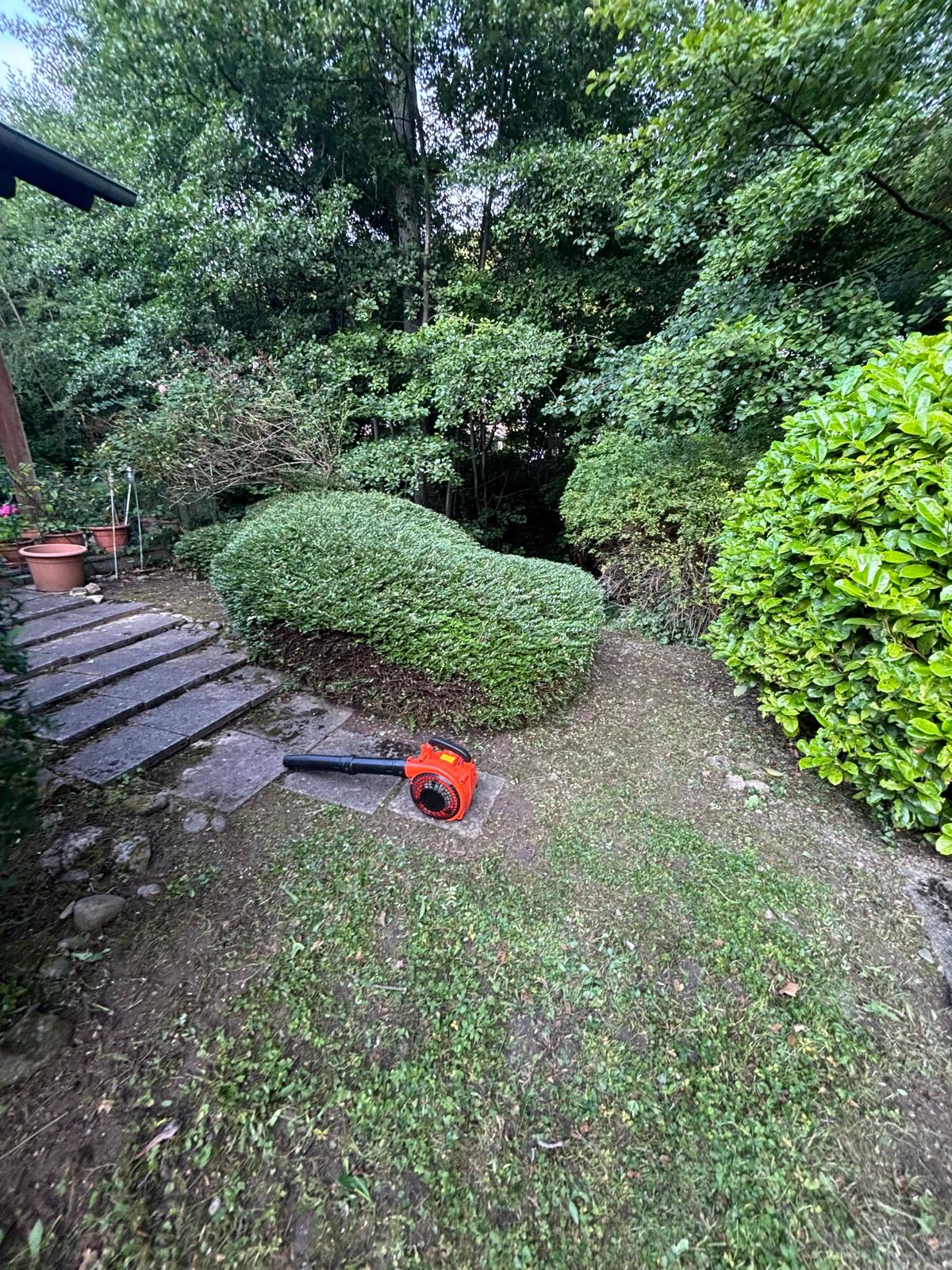 Detailaufnahme frisch geschnittener Gartenkante