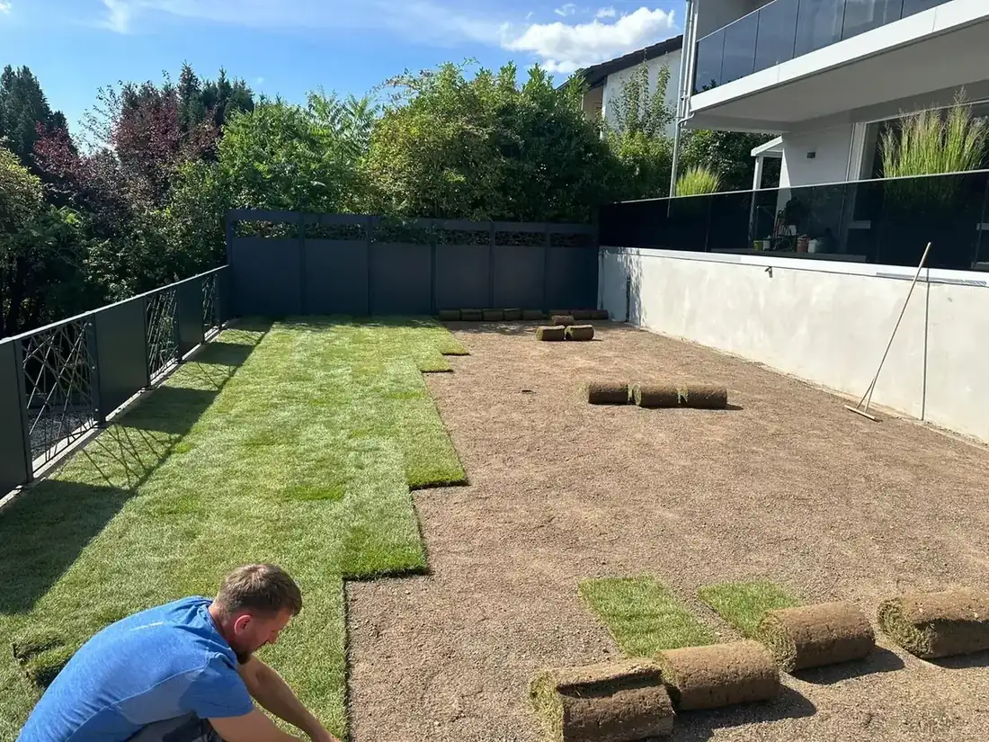 Verlegen von Rollrasen in einem neu angelegten Garten
