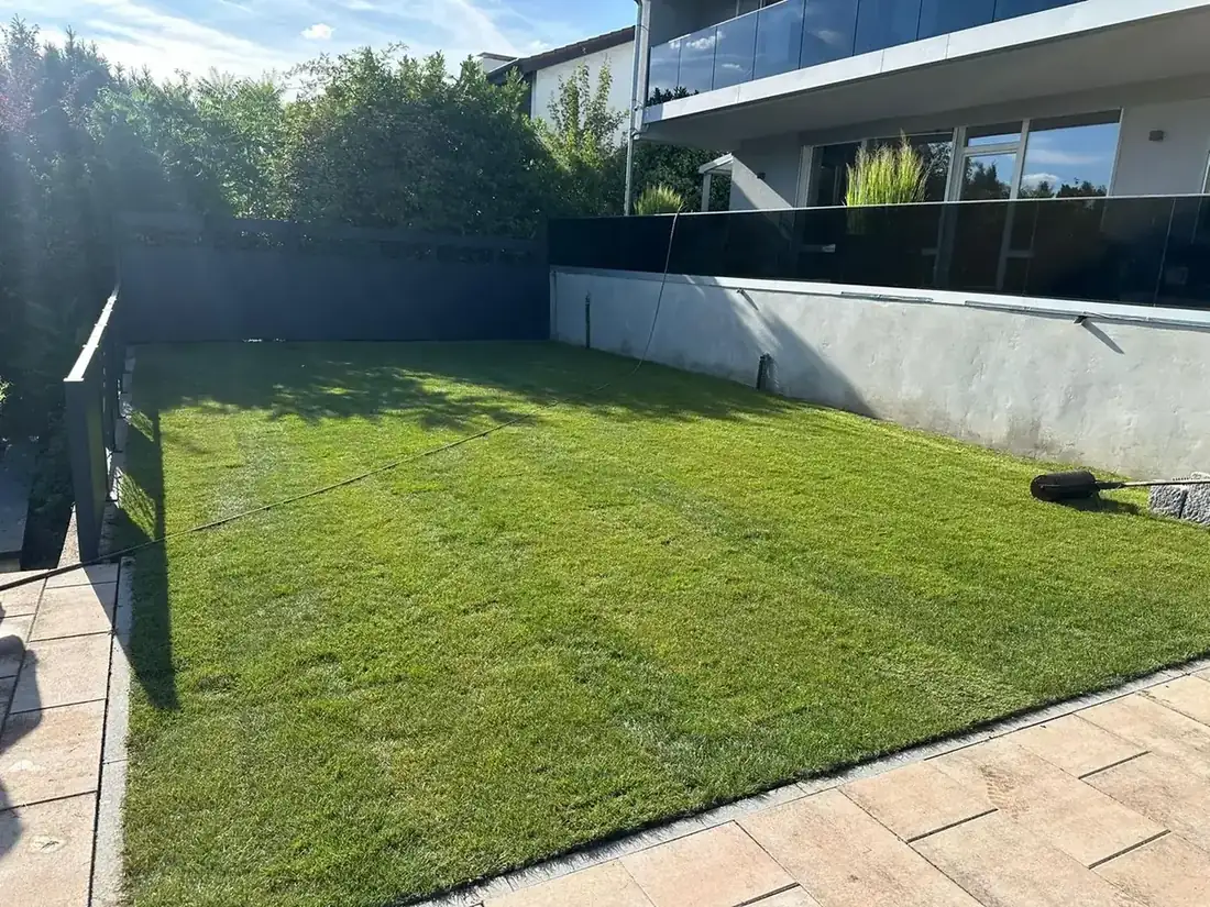 Frisch angelegte Rasenfläche mit Rasenwalze