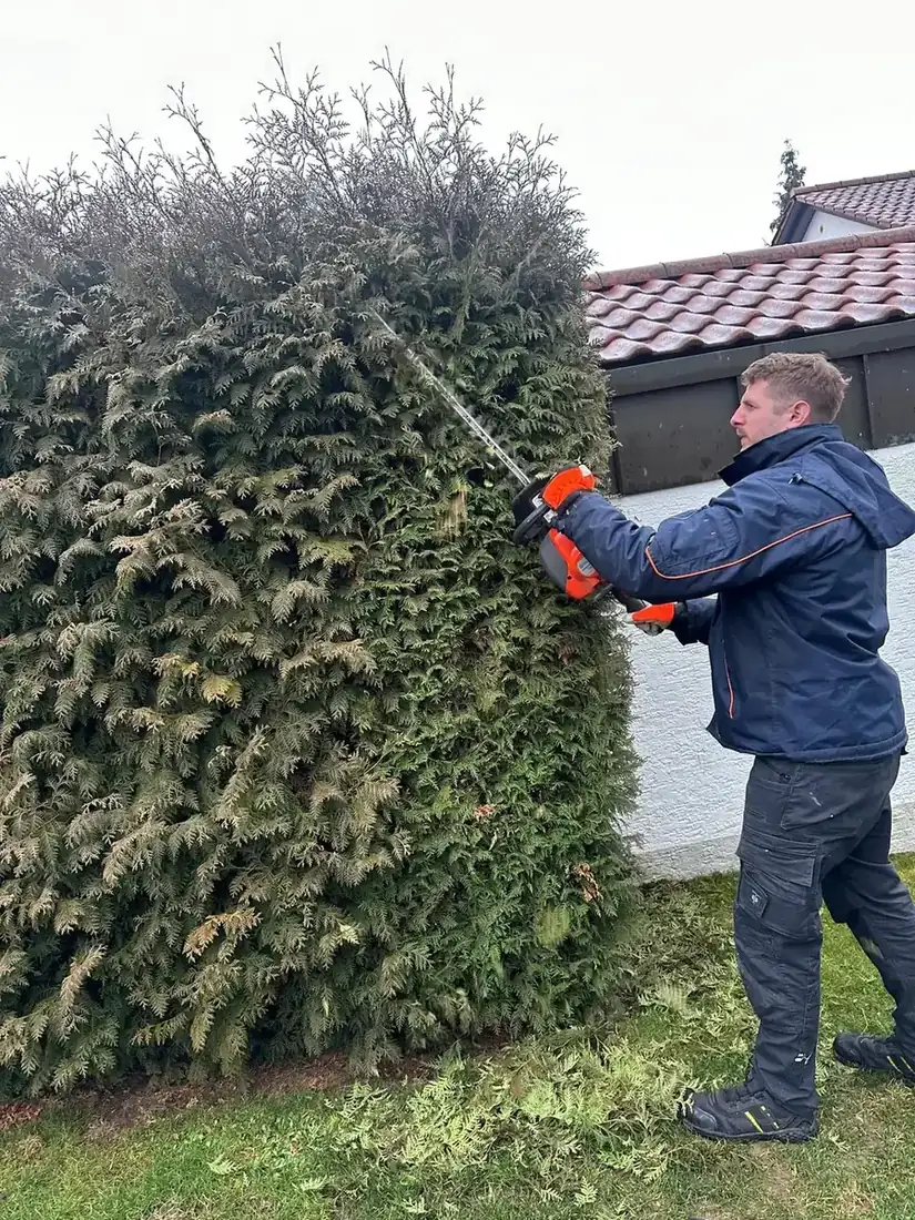 Mitarbeiter beim Heckenschnitt mit Motorschere