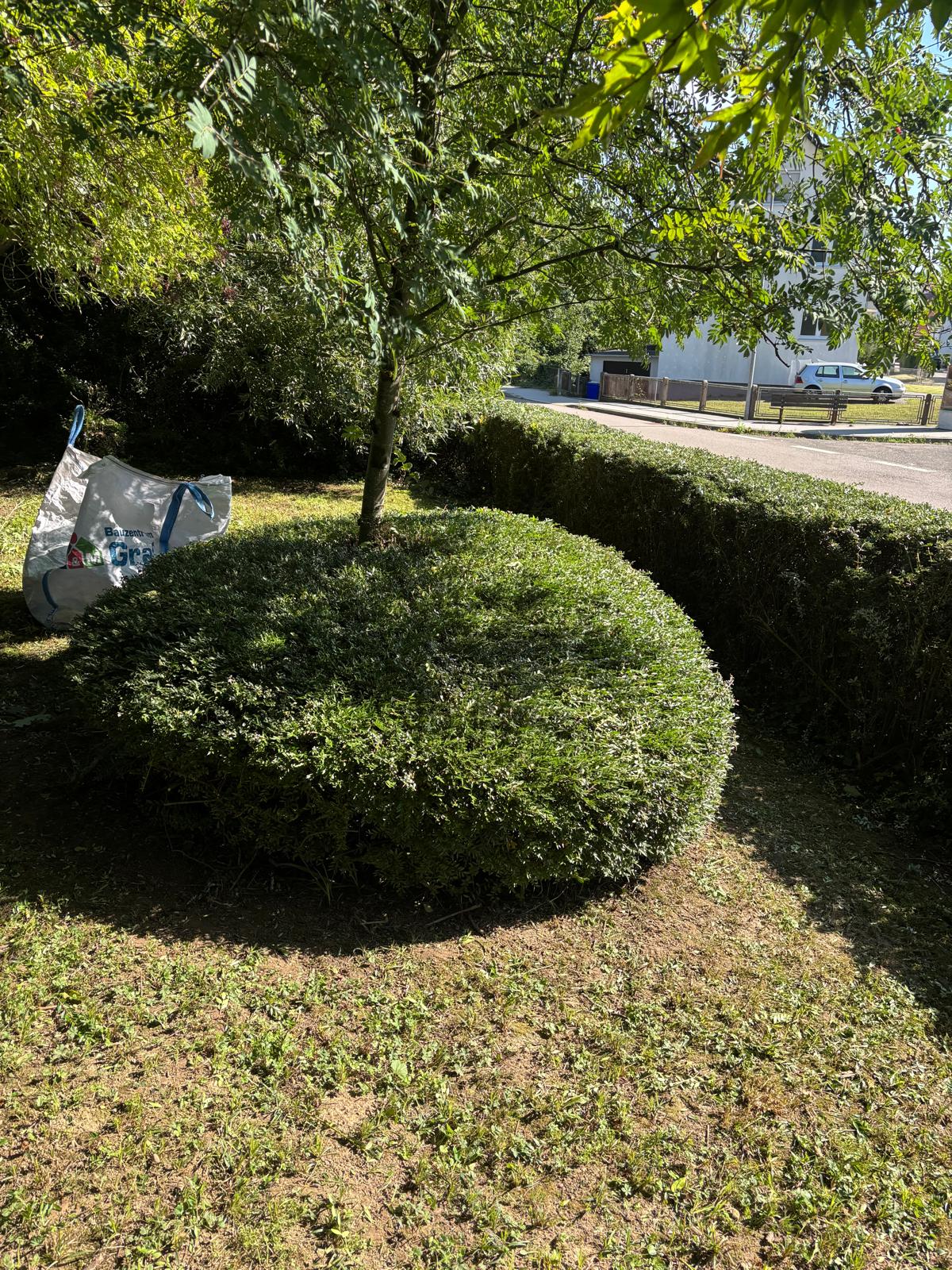 Arbeit von IPG Garten- und Landschaftsbau 7