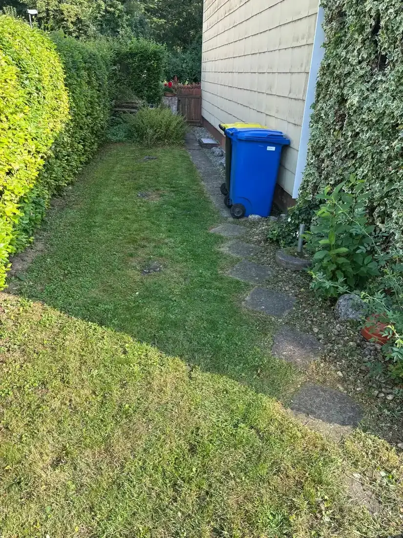 Gepflegter Grünstreifen mit Mülltonne an der Hauswand