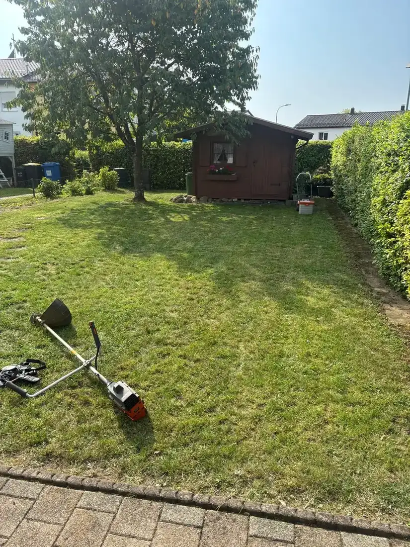 Rasenmahd mit dem Freischneider in einem Hausgarten