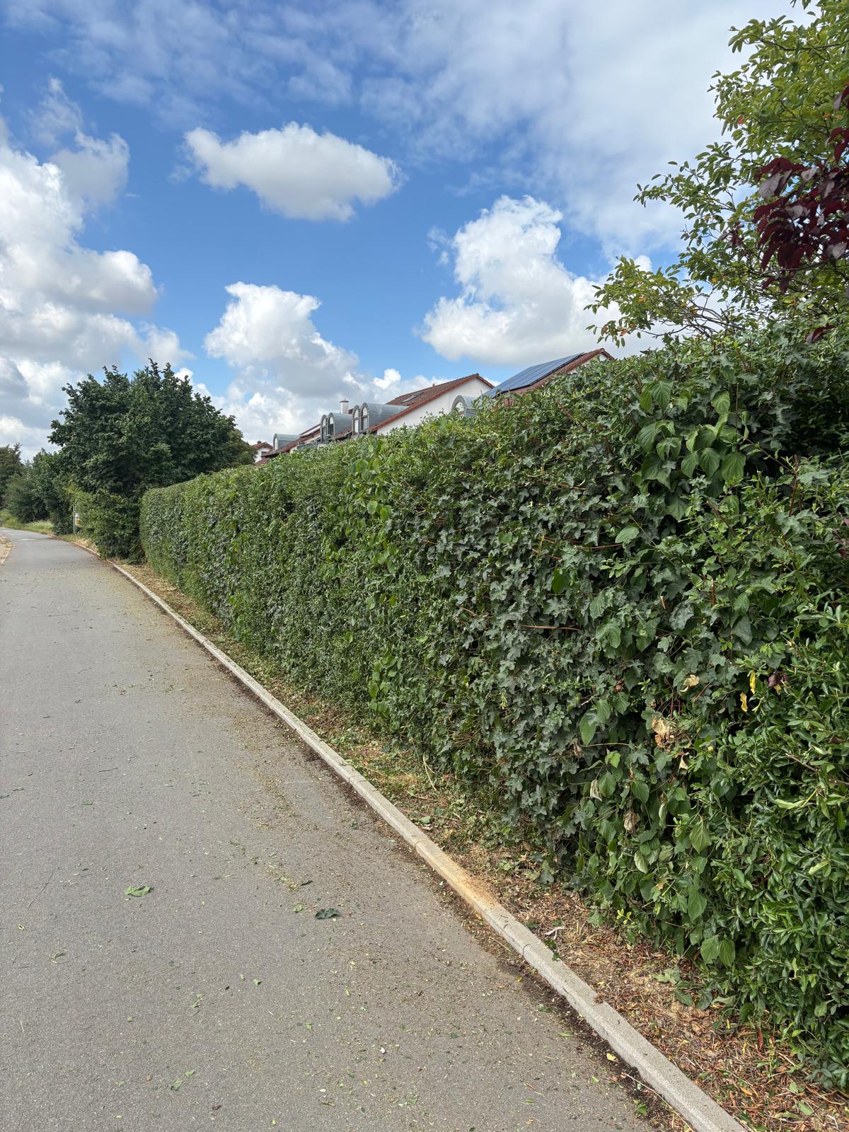 Arbeit von IPG Garten- und Landschaftsbau 10